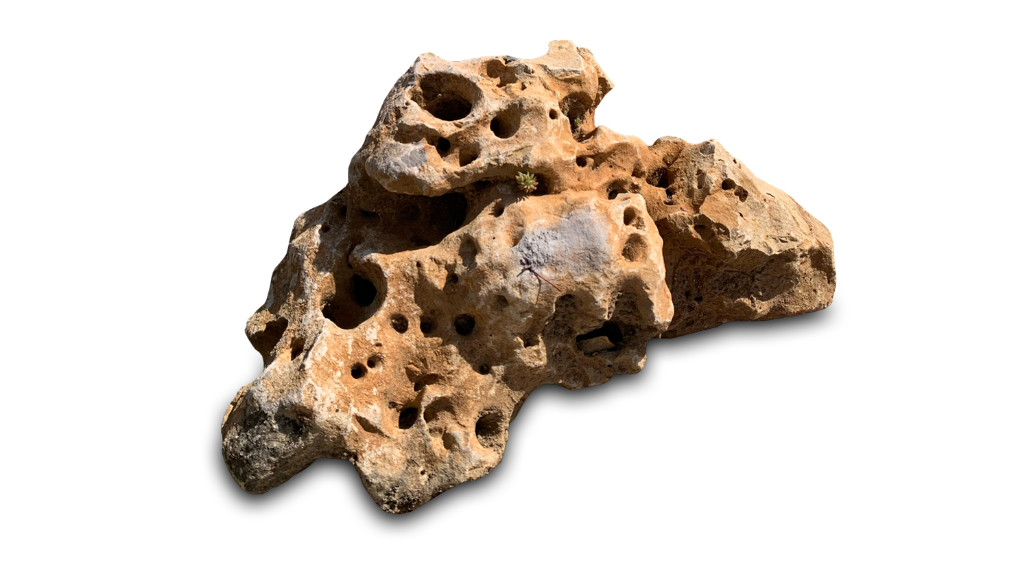 pedra furada +800
